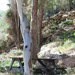 Casa vacanze La Pineta *