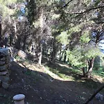 Casa vacanze La Pineta *