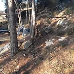La Pineta