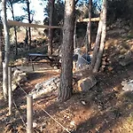 La Pineta * Favignana