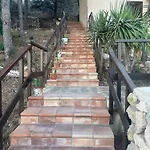 La Pineta *