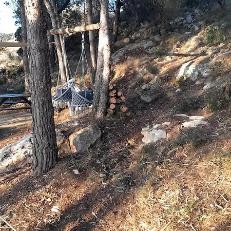 La Pineta