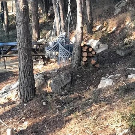 Дом отдыха La Pineta *