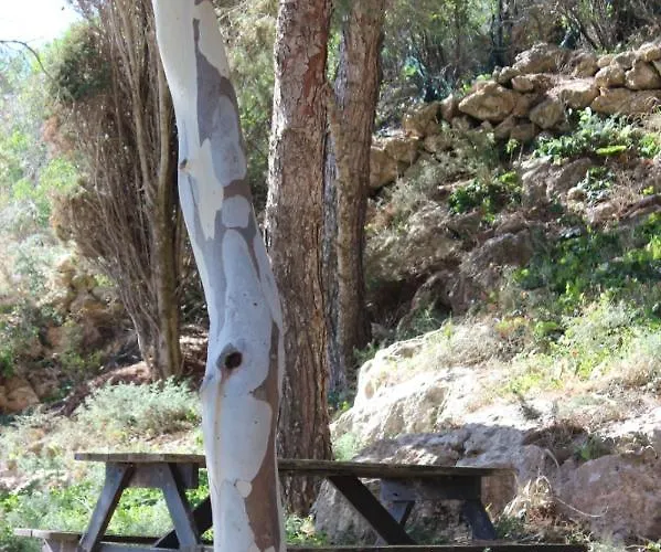 Ferienhaus La Pineta *