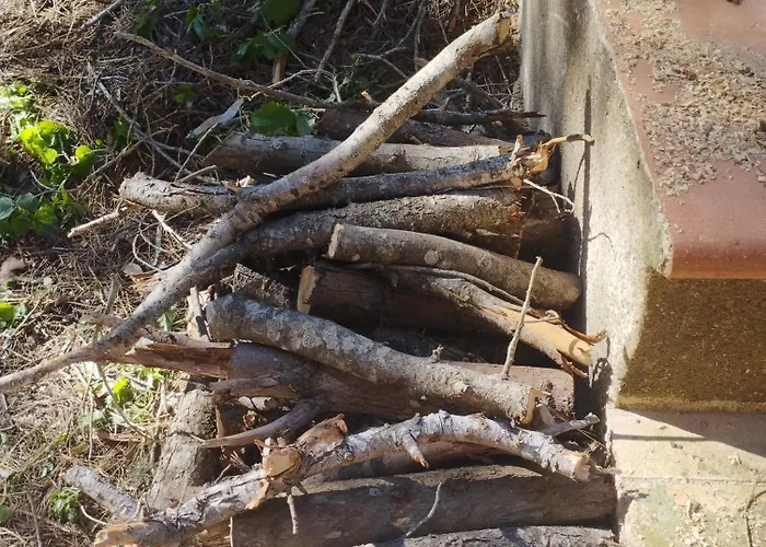 Ferienhaus La Pineta